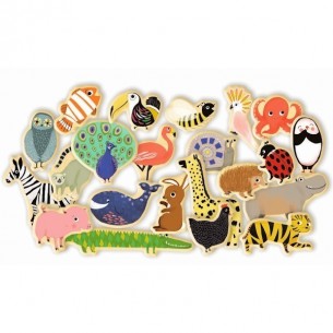 Magnéticos Magnimo 2