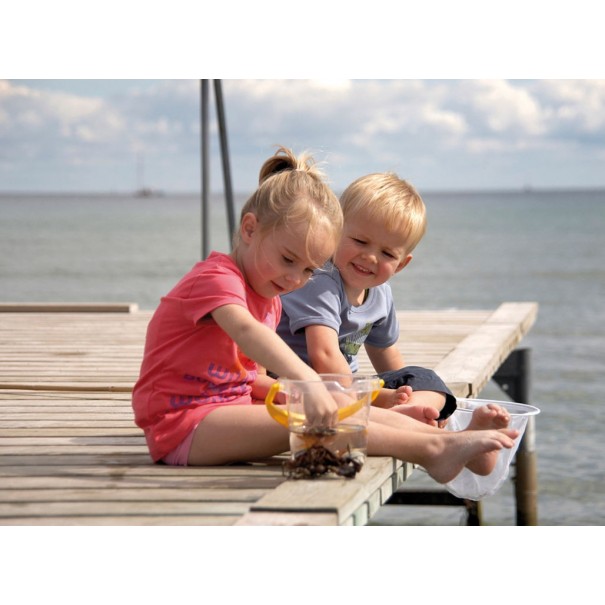 Cubo de Playa Semi-Transparente