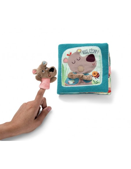 Cesar - Llibre de Roba