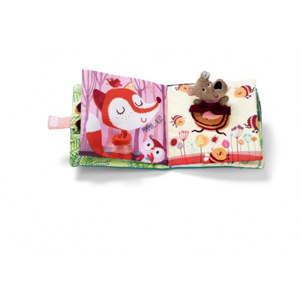 Cesar - Llibre de Roba