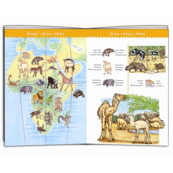 Puzle - Animals del món