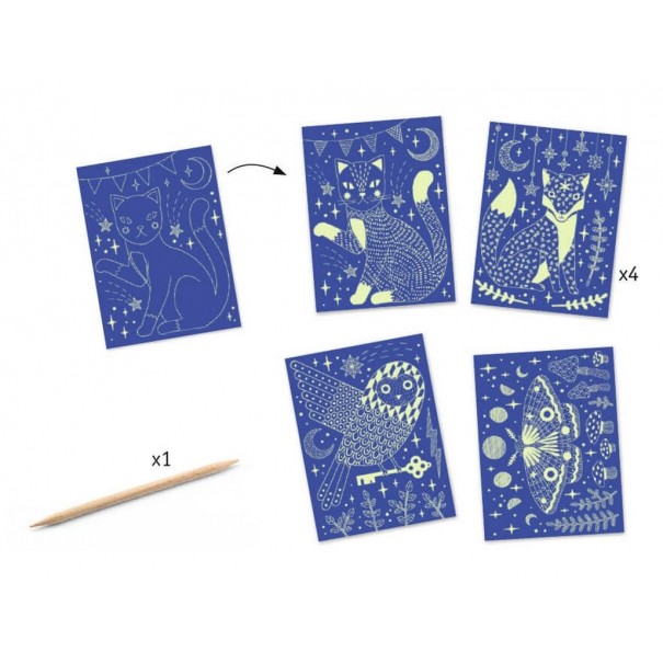 Quadres per a rascar - Animals nocturns