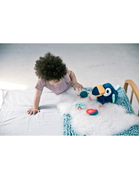 Pablo Gourmet - Loro de Actividades