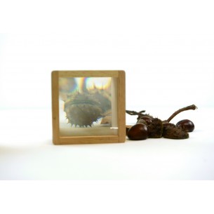  Blocs sensorials amb lupa... 2