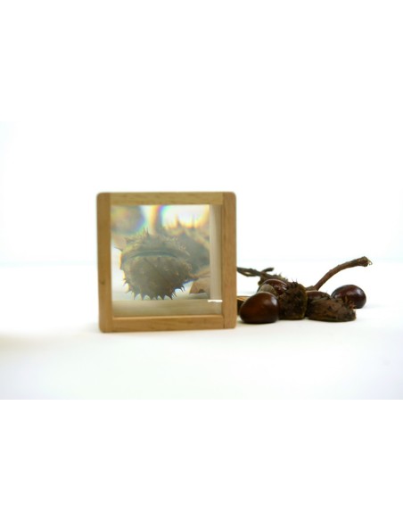  Blocs sensorials amb lupa - 6 pcs.