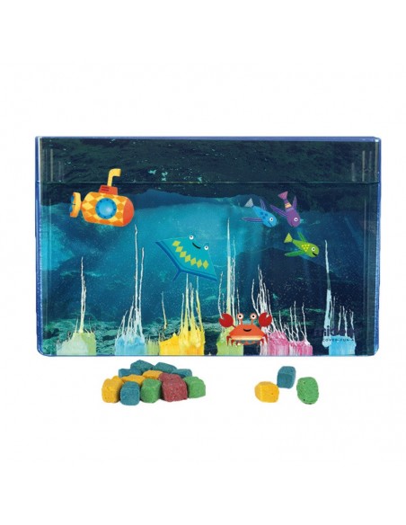 Descobrir el món de l'Oceà