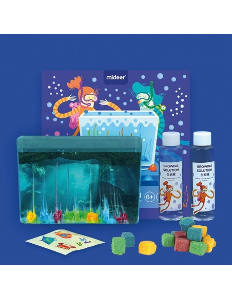 Descubrir el mundo del Océano