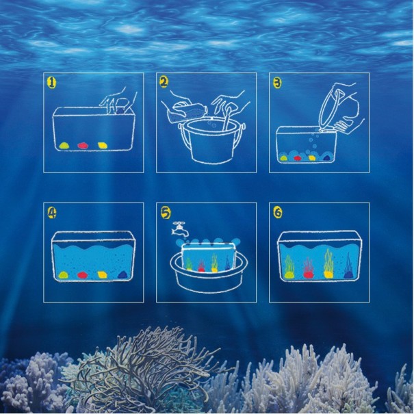 Descobrir el món de l'Oceà