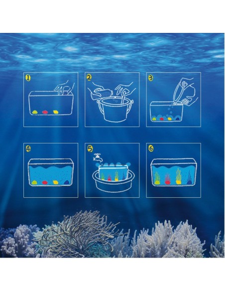 Descobrir el món de l'Oceà