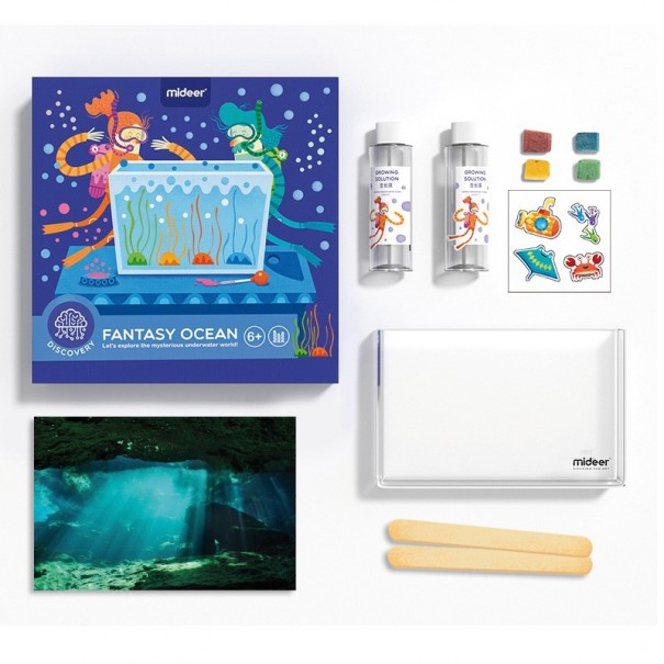 Descubrir el mundo del Océano