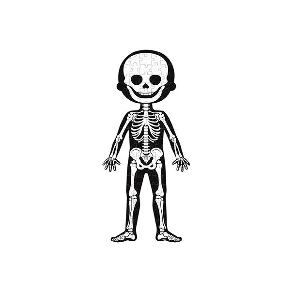 Puzles del cuerpo humano - 50, 75 y...