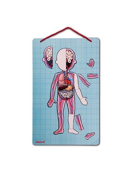 Joc magnètic del cos humà