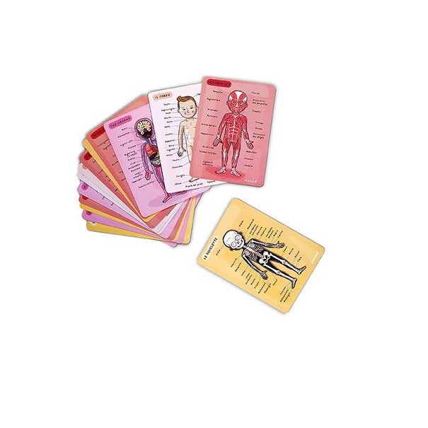 Juego magnético del cuerpo humano