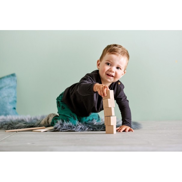 Blocs de construcció amb sistema...