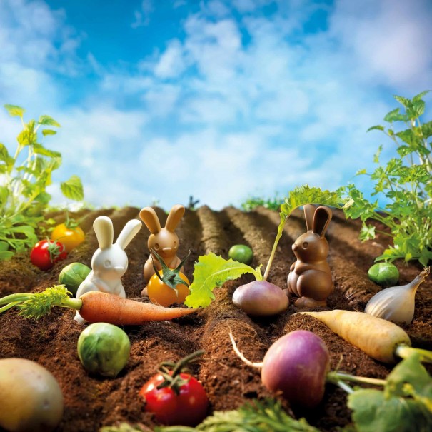 Conejos recolectores