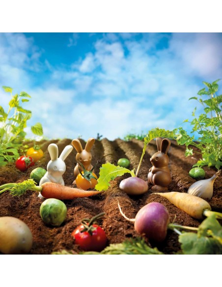 Conejos recolectores