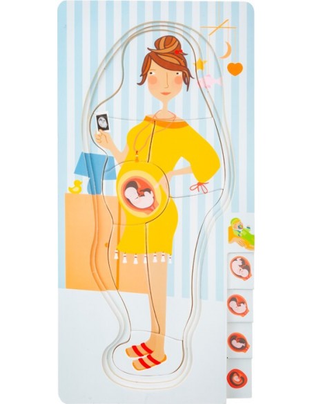 Las etapas del embarazo - Puzle infantil