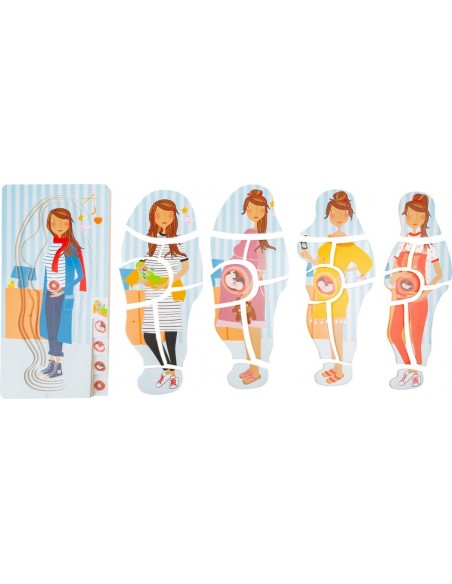 Las etapas del embarazo - Puzle infantil