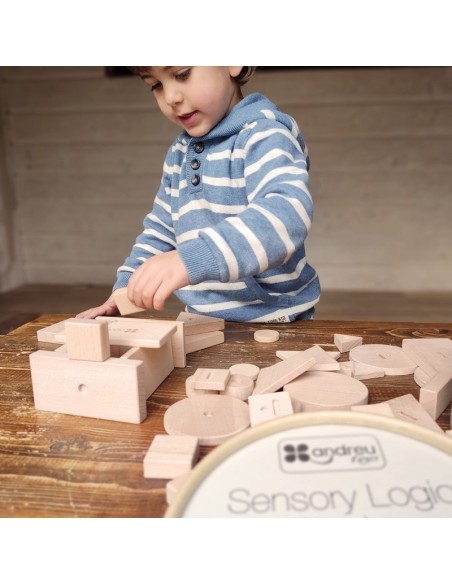 Sensory Logic Blocks