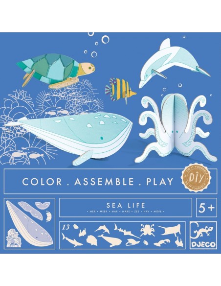Monta y pinta tu mar de cartón