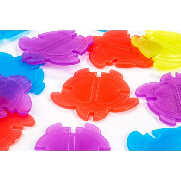 Math Turtles translúcides