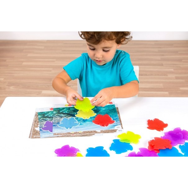 Math Turtles translúcides