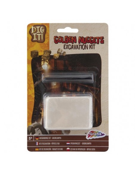 Excavación fósil de dinosaurio