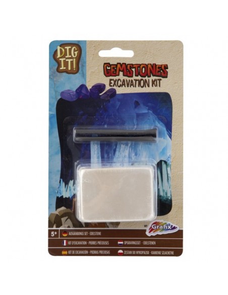 Excavación fósil de dinosaurio