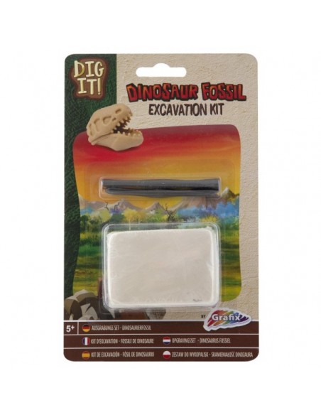 Excavación fósil de dinosaurio