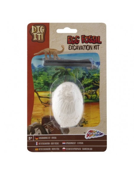 Excavación fósil de dinosaurio