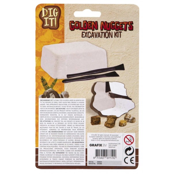 Excavación fósil de dinosaurio