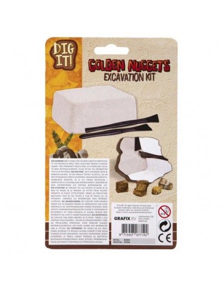 Excavación fósil de dinosaurio