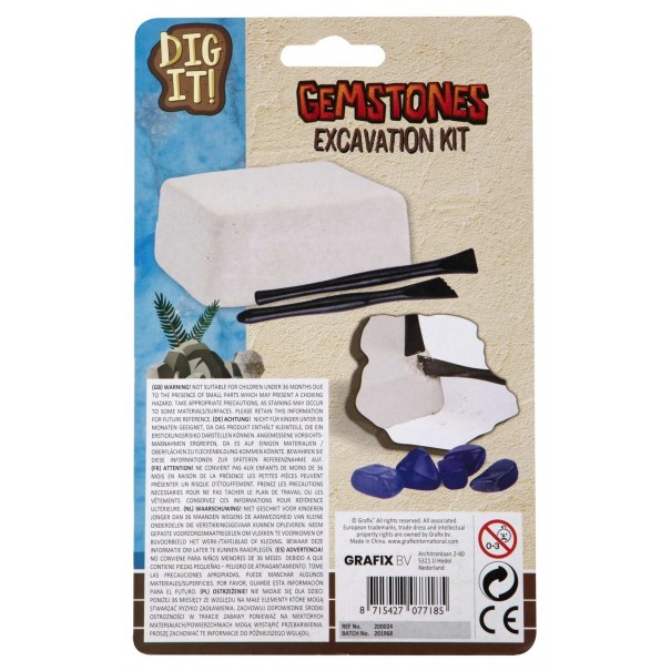 Excavación fósil de dinosaurio