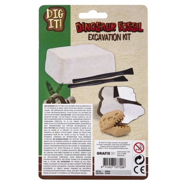 Excavación fósil de dinosaurio