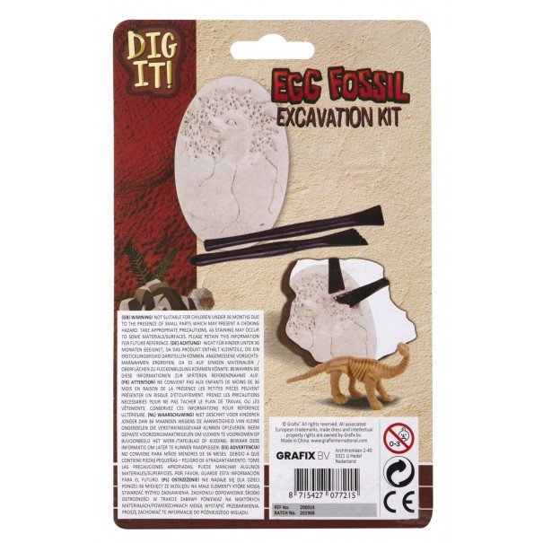 Excavación fósil de dinosaurio