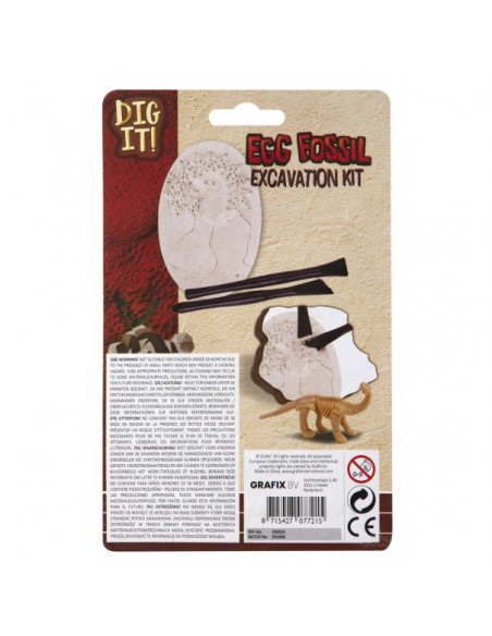 Excavación fósil de dinosaurio