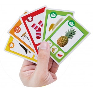 Juego de cartas Quartet 2