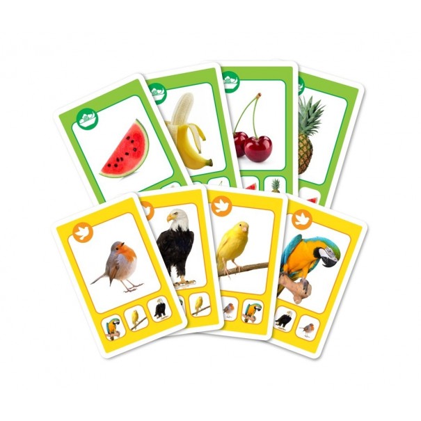 Juego de cartas Quartet