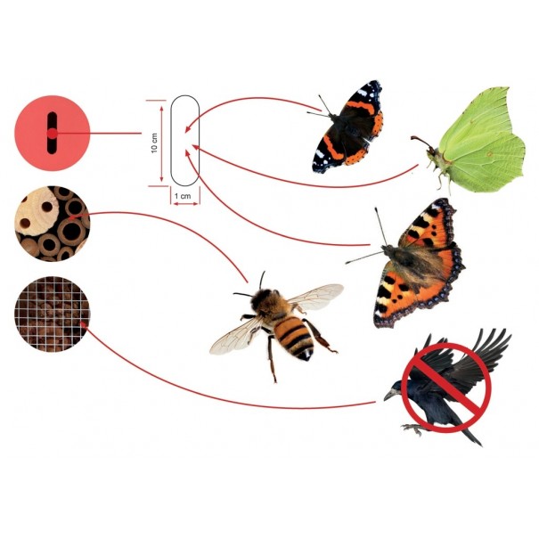 Hotel de insectos de madera