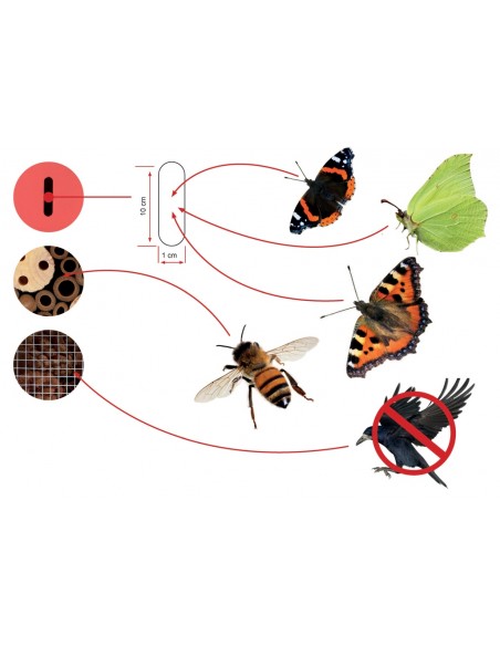 Hotel de insectos de madera