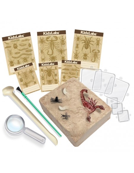Kit de excavación - Descubriendo insectos