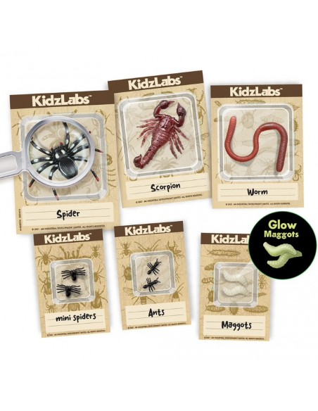 Kit de excavación - Descubriendo insectos