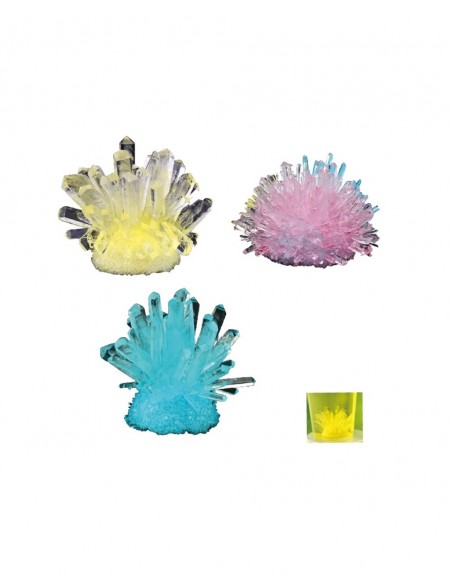 Planta tus propios cristales