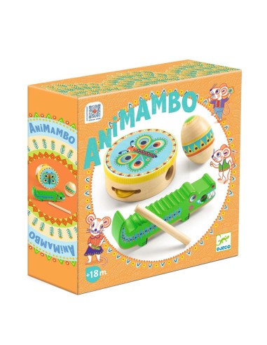 Conjunt de percussió Animambo