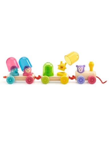 Rainbow Train - Arrastre de madera