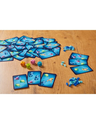 Missió Subaquàtica - Joc d'observació