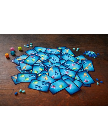 Missió Subaquàtica - Joc d'observació