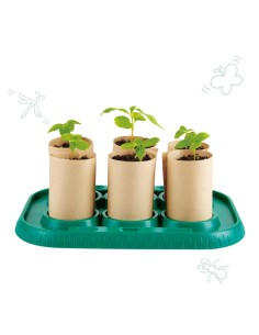 Invernadero de Cultivo de... 2