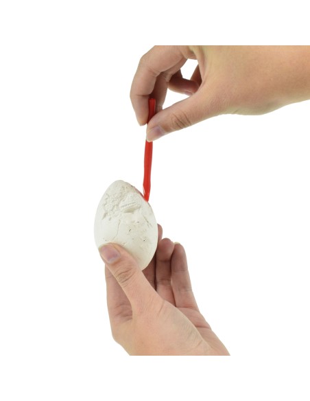 Huevo excavación de Dinosaurio