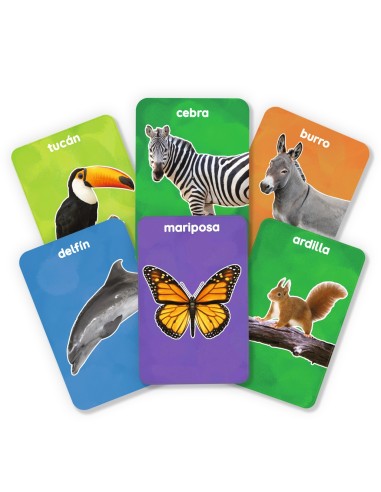 Mis primeros 100 animales - Flash Cards